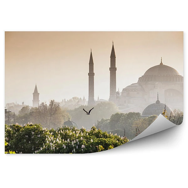Fototapeta Sultanahmet camii / blue mosque istanbul turkey
