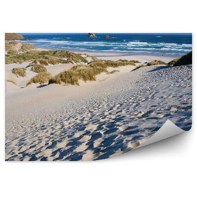 Fototapeta Plaża wydmy góry rośliny ocean niebo chmury