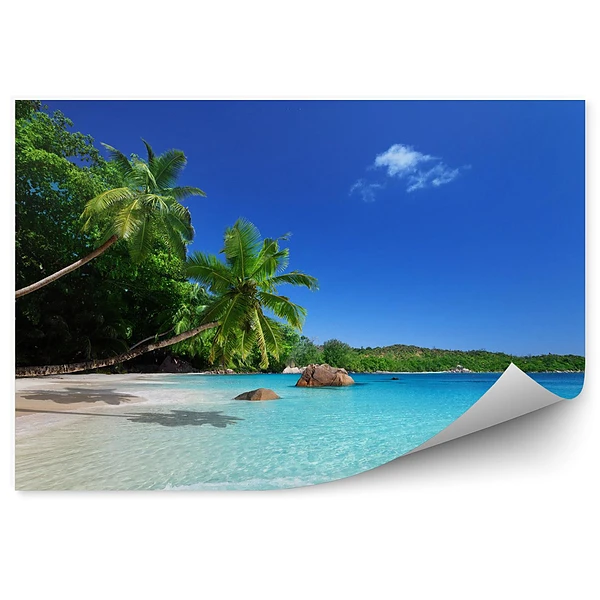 Fototapeta Plaża w wyspa praslin seszele