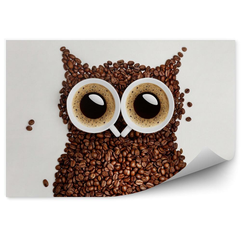 Fototapeta Sowa z kawy