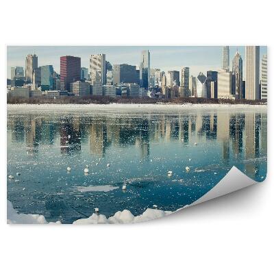 Fototapeta Wieżowce nowy york drzewa niebo chmury ocean lód śnieg