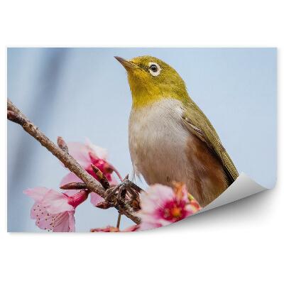 Okleina ścienna Różowy kwiat gałąź ptak niebieskie niebo