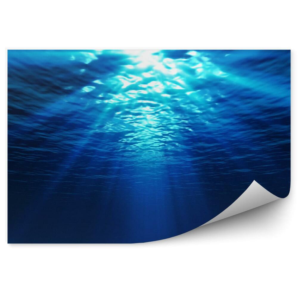 Fototapeta Podwodne widok z piaszczystej dna morskiego