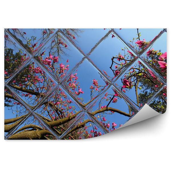 Fototapeta na ścianę Zniekształcony widok na niebo ogród