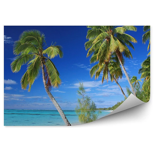 Okleina ścienna Piękna plaża wyspa aitutaki palmy ocean niebo chmury