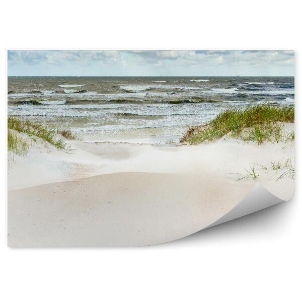 Okleina na ścianę Wydmy na wybrzeżu Bałtyk