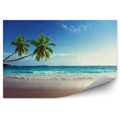 Fototapeta Zachód słońca na plaży seszele