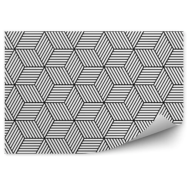 Fototapeta Geometryczny wzór z kostki