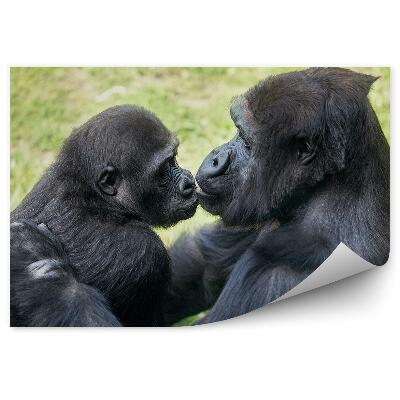 Okleina ścienna Mama goryl z młodym