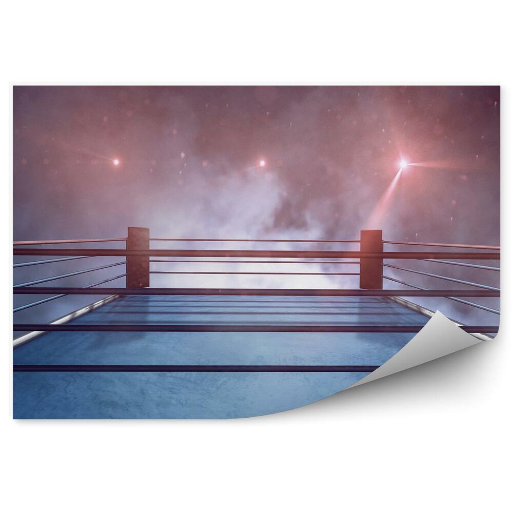 Fototapeta samoprzylepna Ring boks