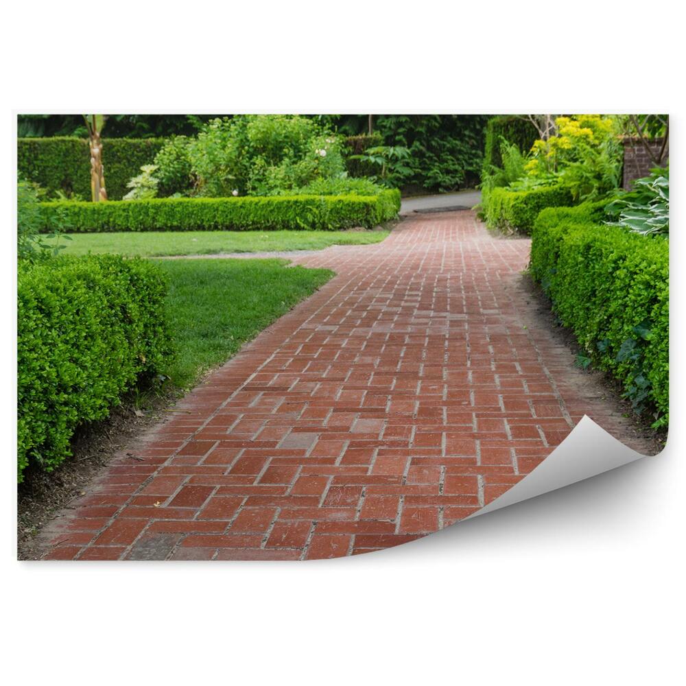 Okleina ścienna Ścieżka w ogrodzie roślinność krzewy zieleń