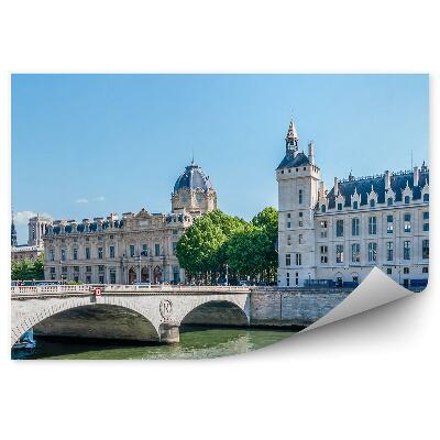 Fototapeta most Saint-Michel budynki drzewa Francja Paryż Sekwana