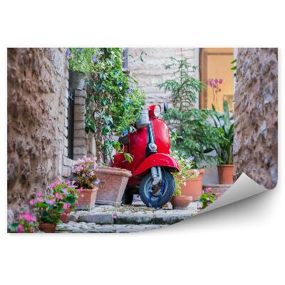 Fototapeta Czerwony skuter