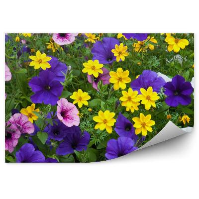 Fototapeta na ścianę Kolorowe kwiaty polana roślinki zielone pole