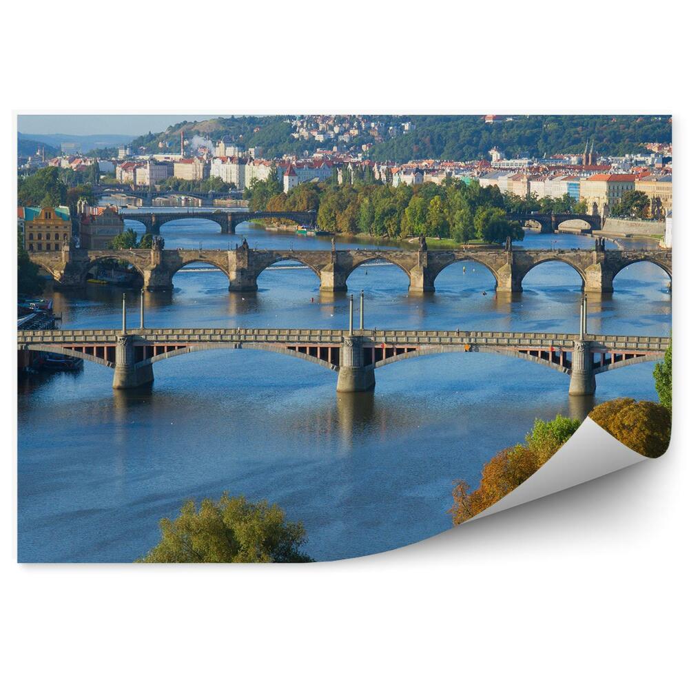 Fototapeta samoprzylepna Widok z lotu ptaka praga mosty miasto