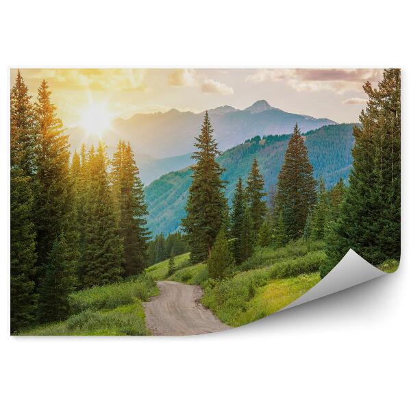 Fototapeta Krajobraz górski las