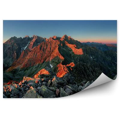 Fototapeta Panorama ze szczytu - słowacja tatry
