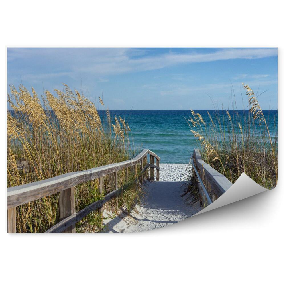 Fototapeta Nadmorska promenada z wydmami i kłosami unioli