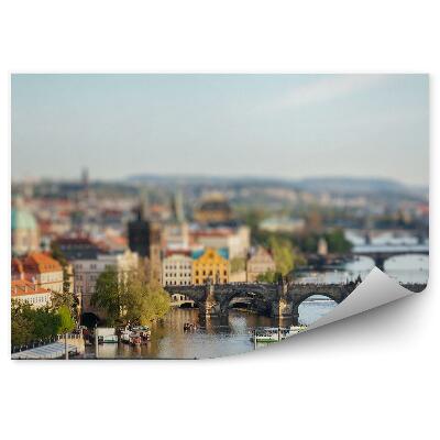 Fototapeta Panorama miasta most wełtawa praga prom łodzie