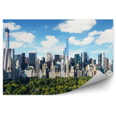 Fototapeta wieżowce drzewa niebo chmury widok central park Nowy Jork