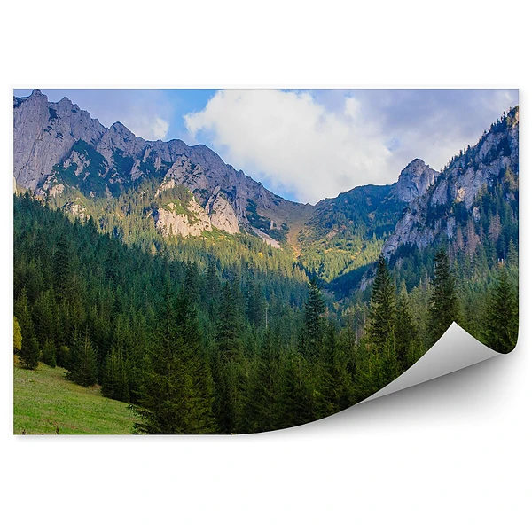 Okleina na ścianę Tatry góry śnieg las trawy niebo chmury