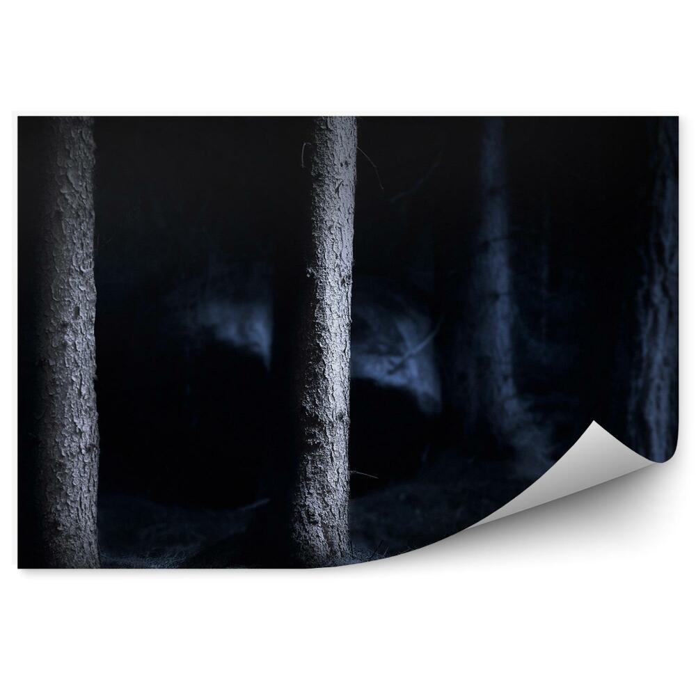 Okleina ścienna Las nocą