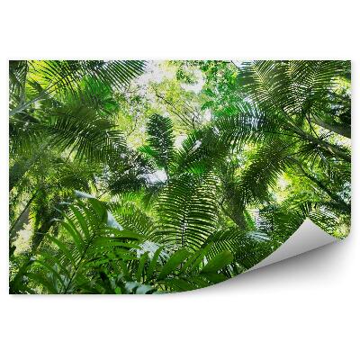 Fototapeta Dżungla liście