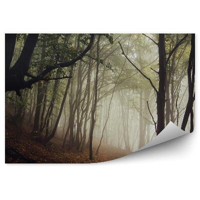 Okleina ścienna Droga ciemny las jesień