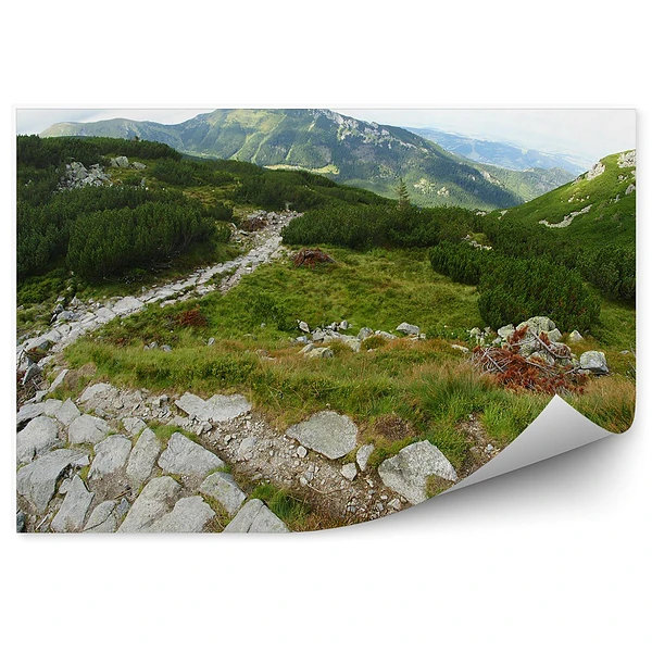 Okleina na ścianę Tatry góry drzewa kamienie niebo chmury