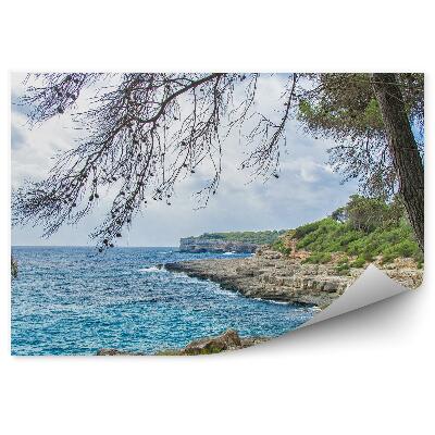 Fototapeta na ścianę Piękne dzikie tropikalne wybrzeże morze