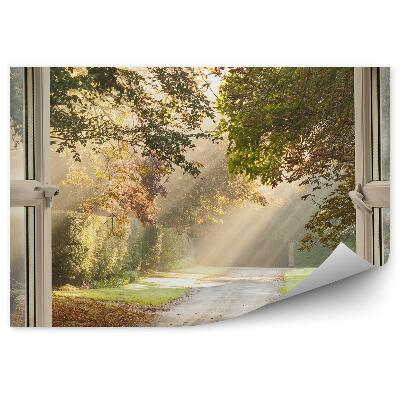 Okleina na ścianę Park za oknem ścieżka promienie słońca