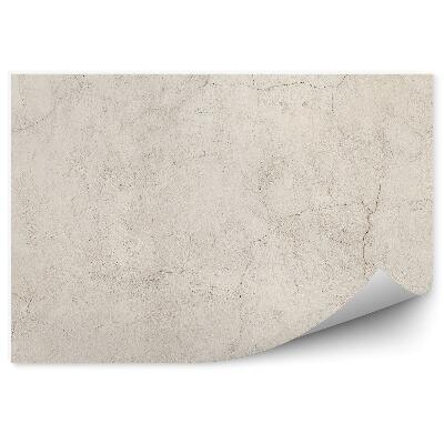 Fototapeta samoprzylepna Wyblakła spękana betonowa ściana