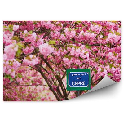 Fototapeta na ścianę Znak ulica paryż kwitnące drzewo wiśni