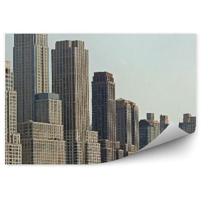 Fototapeta wieżowce Manhattan most drzewa Nowy Jork