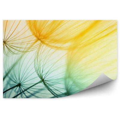 Fototapeta na ścianę Nasiona dmuchawca kwiaty