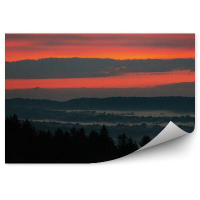 Fototapeta Zachód słońca drzewa iglaste mgła