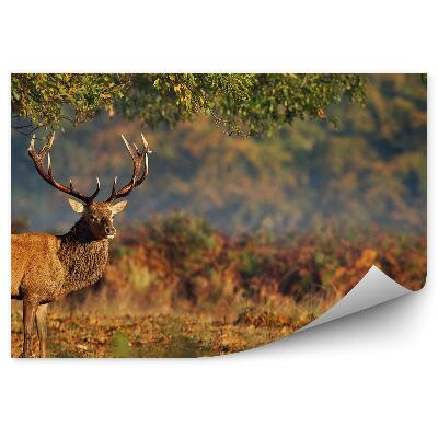 Okleina ścienna Jeleń stojący pod drzewem