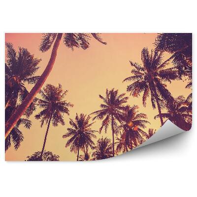 Fototapeta na ścianę Sylwetki palm o zachodzie słońca vintage