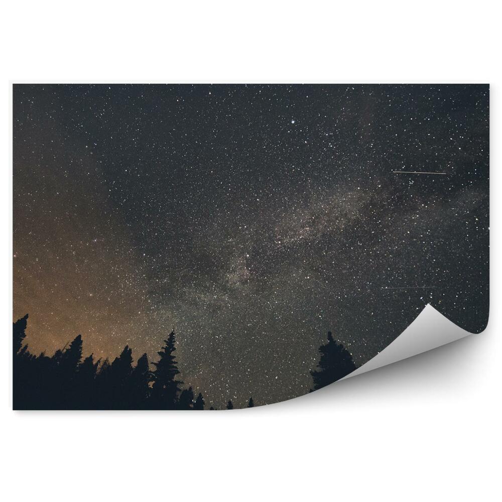 Fototapeta Gwiazdy breckenridge las cienie niebo droga mleczna