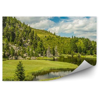 Okleina na ścianę Alpejskie jezioro góry drzewa iglaste niebo chmury skały