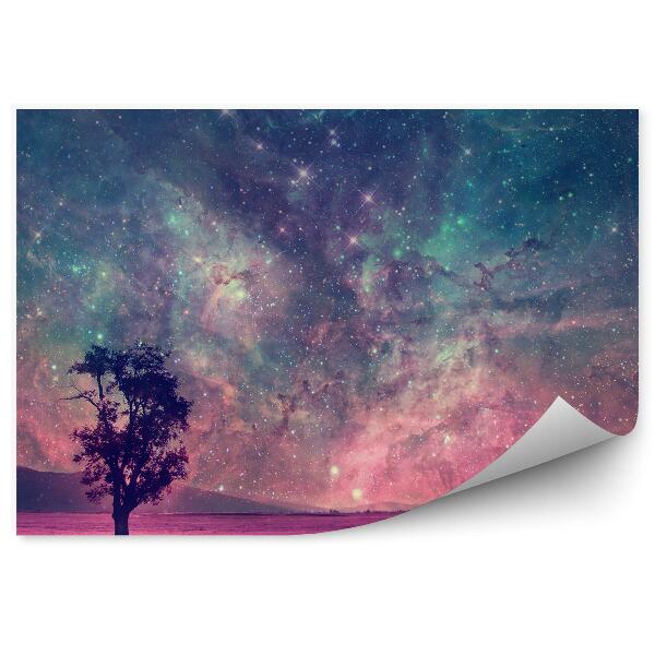 Fototapeta Drzewa pola gwiazdy niebo fantasy