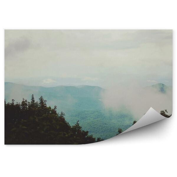 Fototapeta Zachmurzony las