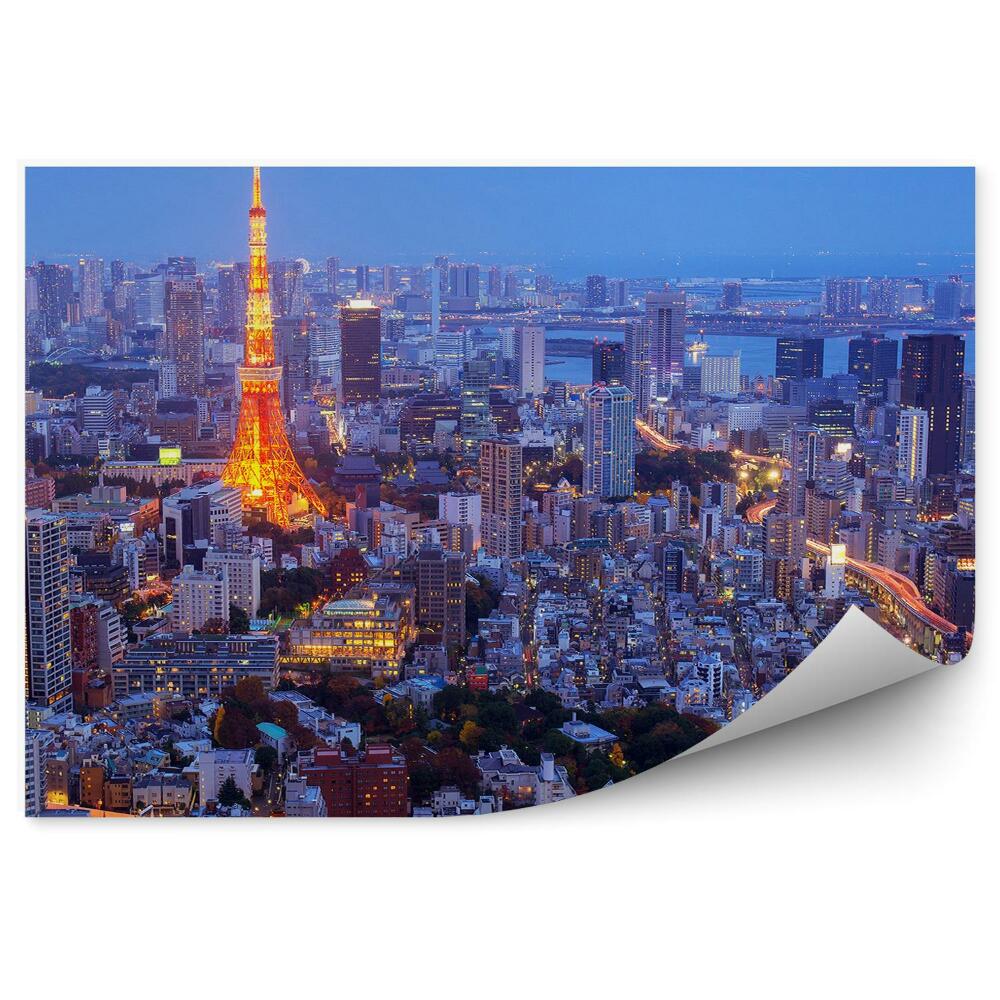 Okleina na ścianę widok z lotu ptaka nocy Tokio