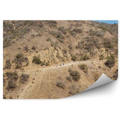 Okleina ścienna Los angeles góry natura szlak