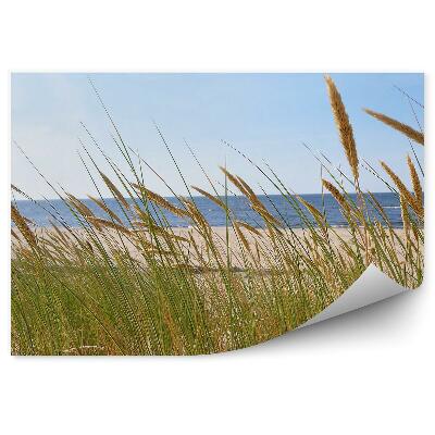 Okleina ścienna Zielona trawa na tle błękitnego morza plaża