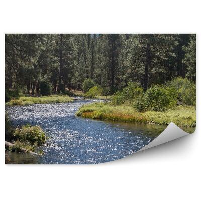 Okleina ścienna Rzeka choinka góra przyroda