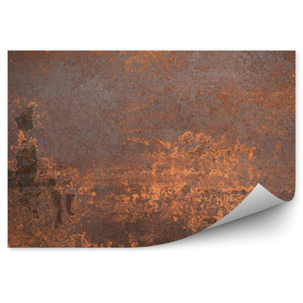 Fototapeta Zardzewiały metal