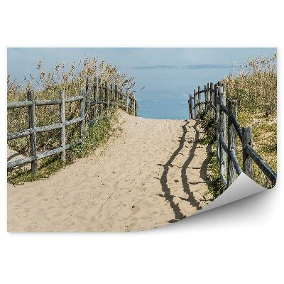 Okleina ścienna Plaża sanbridge trawa rośliny niebo chmury virginia