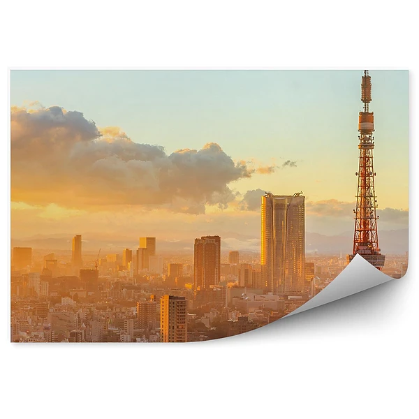 Fototapeta Panoramiczny widok osaki budynki miasto