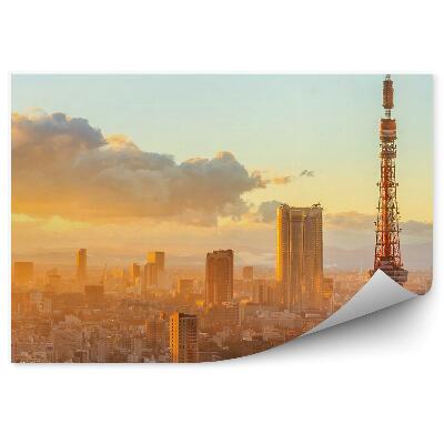 Fototapeta Panoramiczny widok osaki budynki miasto